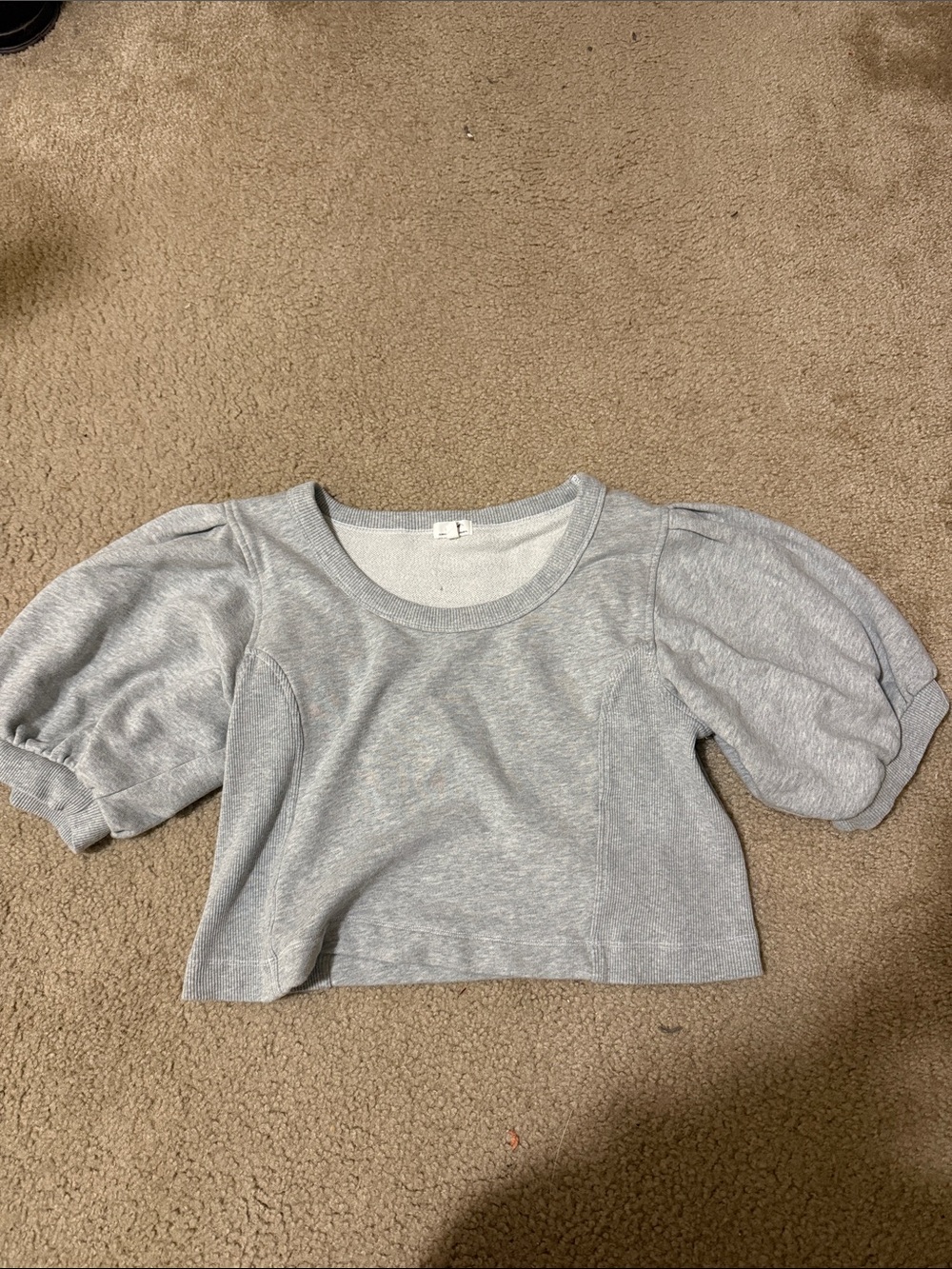 aerie Light Gray Puff Sleeve Crop Top
